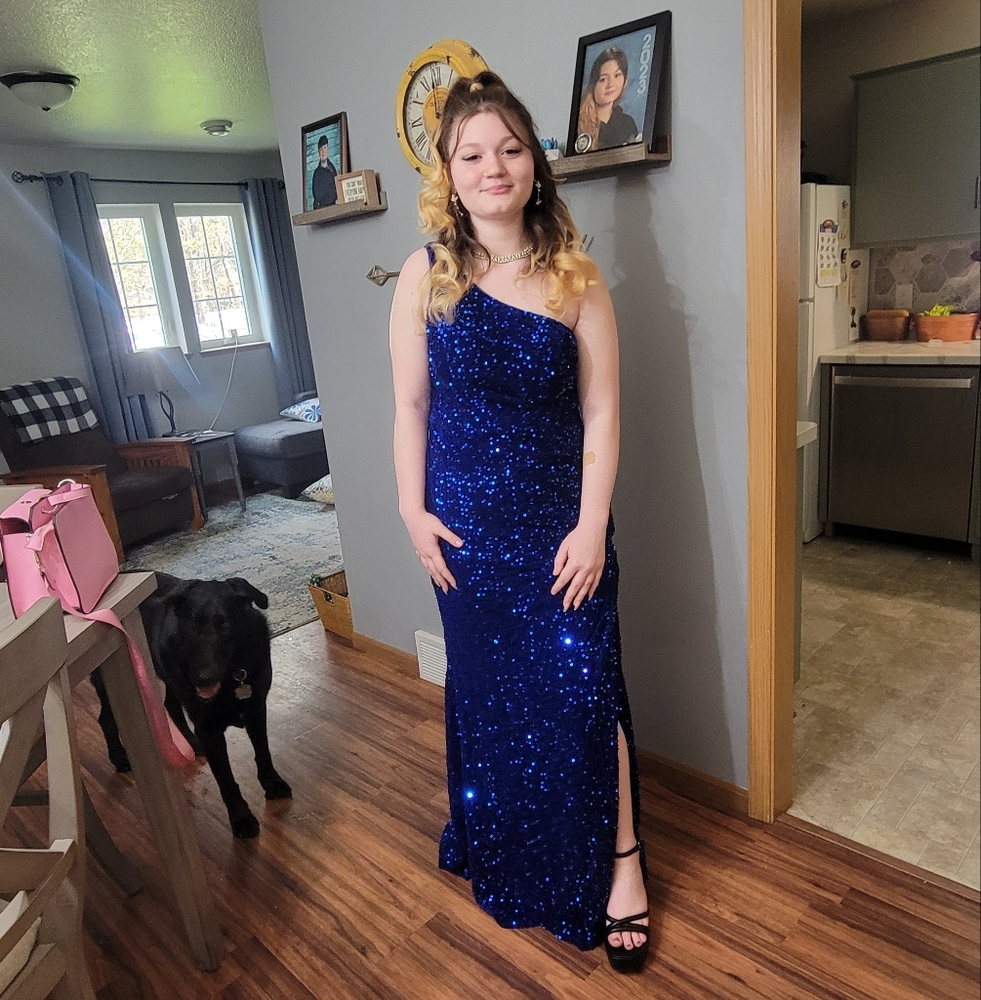 Stunning Blue Sequin Gown